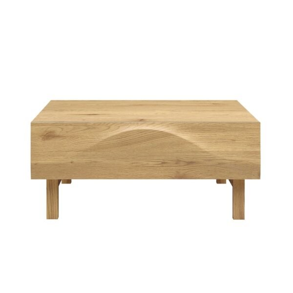 Boka Solid Wood 2-Drawer Coffee Table - Image 5