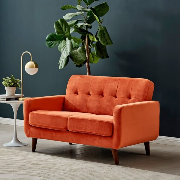 Bani 2-Seater Upholstered Sofa - Image 2