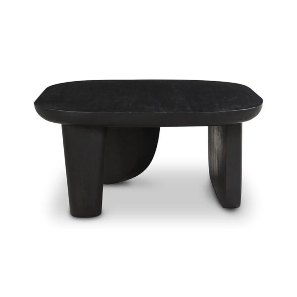 Peba Solid Wood Modern Coffee Table - Image 5