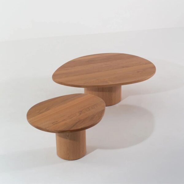 Koko Solid Wood Nesting Coffee Table Set Of 2 - Image 4