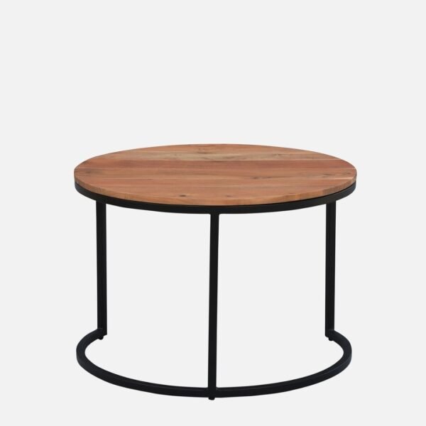 Kudo Solid Wood Nesting Coffee Table Set of 3 - Image 6
